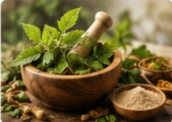 Ayurvedic herbs and ingredients
