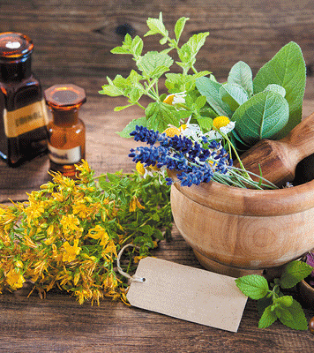 herbs supplements vitamins